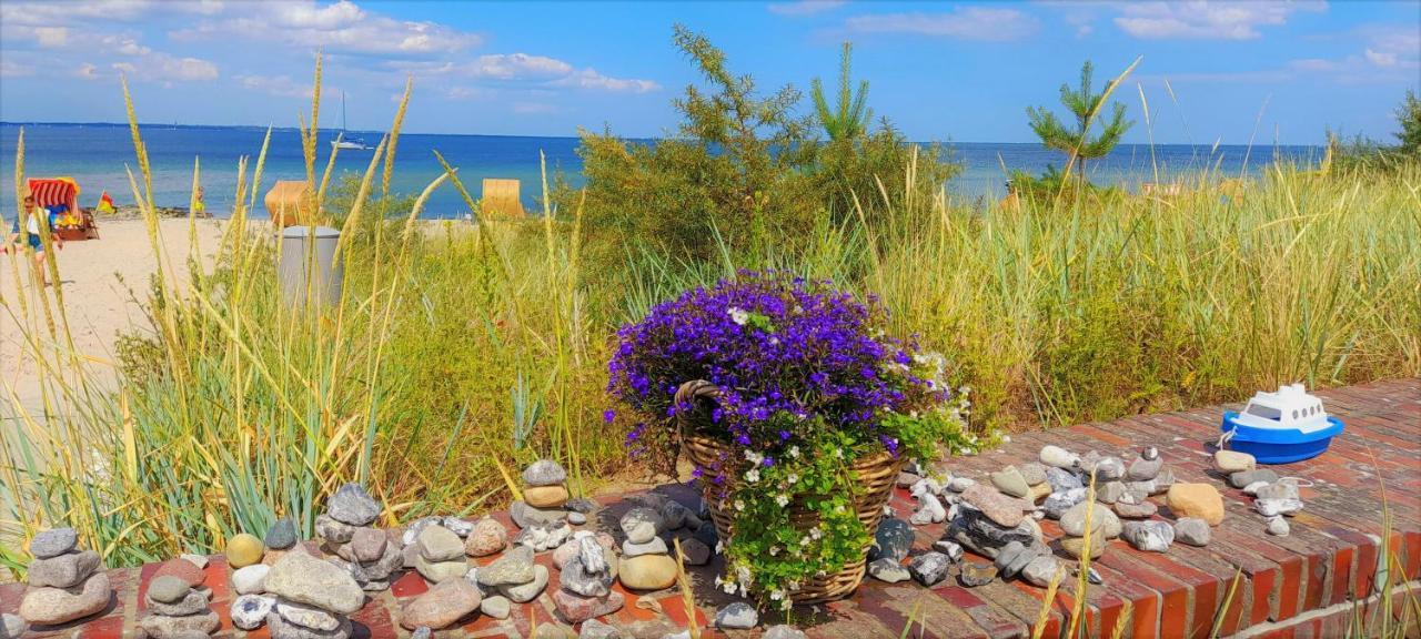 Skipper Appartements Ниндорф Экстерьер фото